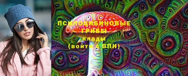 кокс Алексин